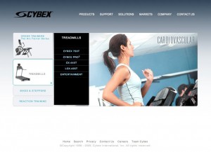 Cybex International
